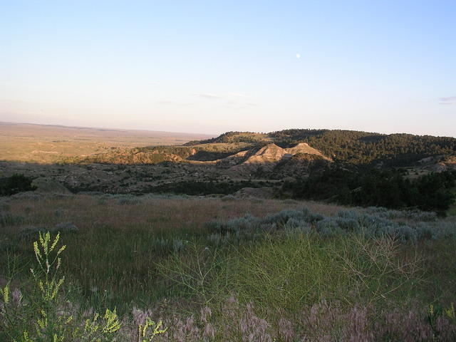P1010171.JPG