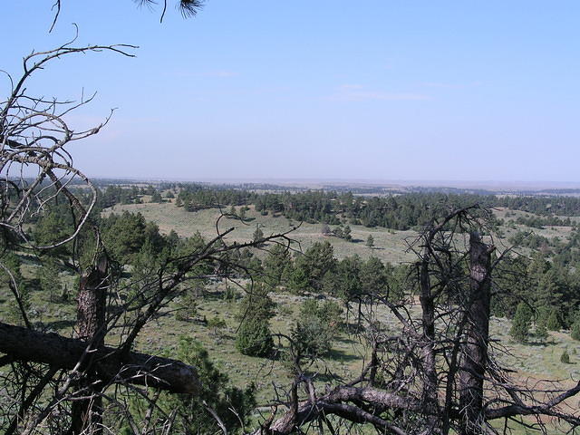 P1010175.JPG