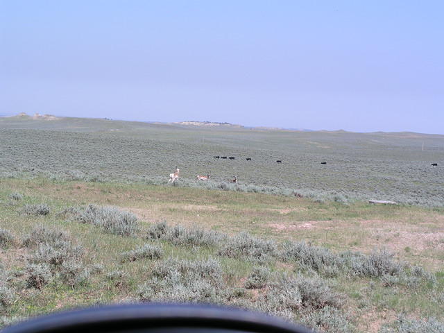 P1010179.JPG