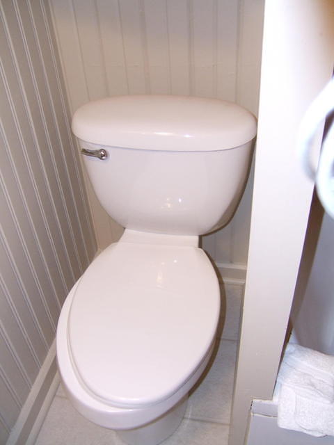 This is our 'throne'; it is good that we are all relatively small. It would't be comfortable for a wide person.