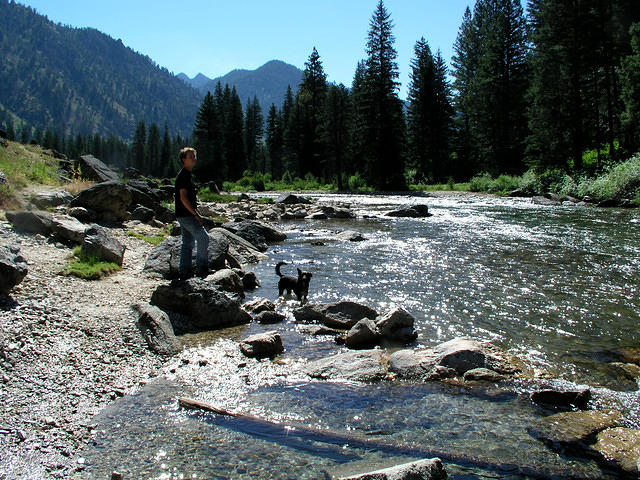 Anthony and Buster enjoying the water on Grandjean Creek