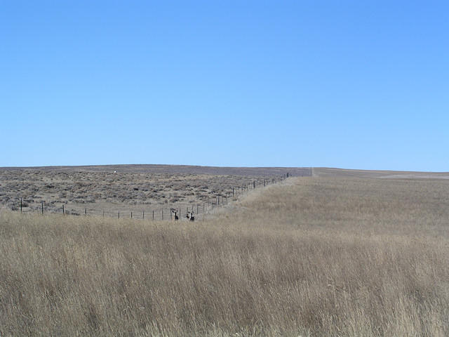 They did not get any birds, but look at what thay could have gotten if it was deer season.