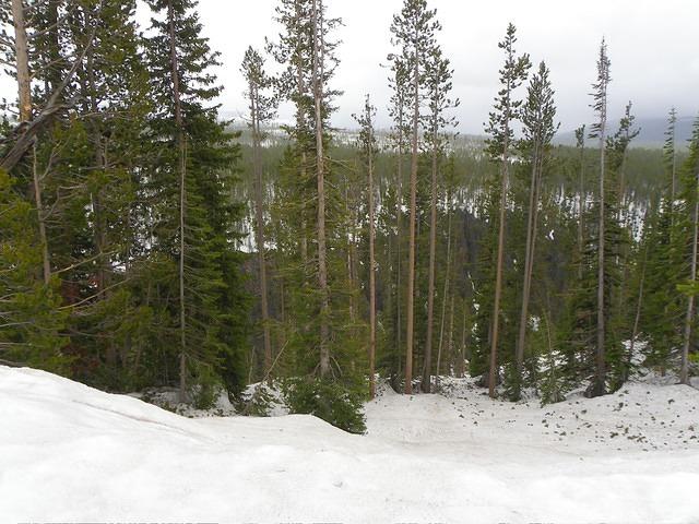 Speaking of snow, there is still lots on the ground.