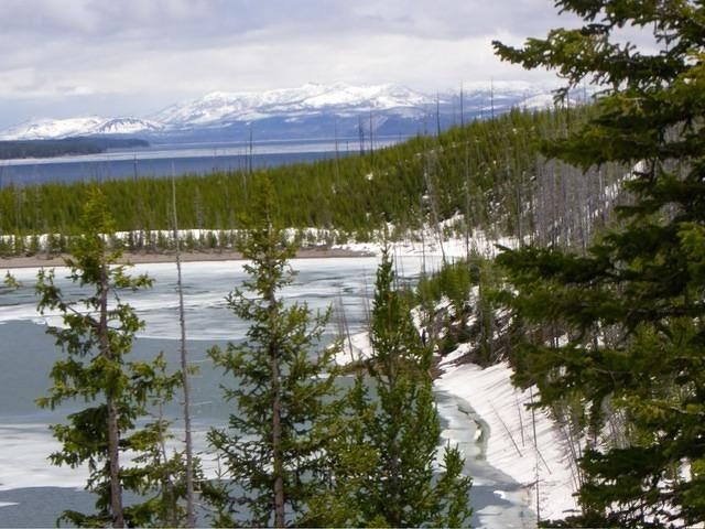 Anthony and Meghan's visit to Yellowstone National Park June 2011