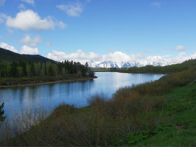 It is sunny on our second day at Yellowstone!
