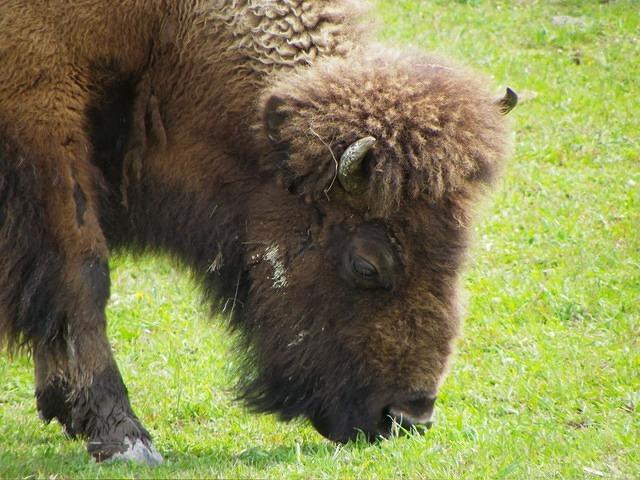 Wouldn't you just love to run your fingerrs through her hair?