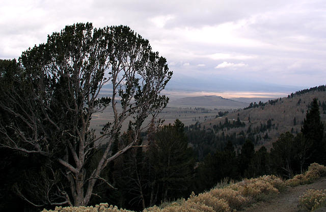 Another view from the wayside on the way to Galina Summit