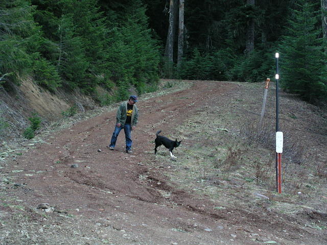 We have to stop occassionally to let Buster run.