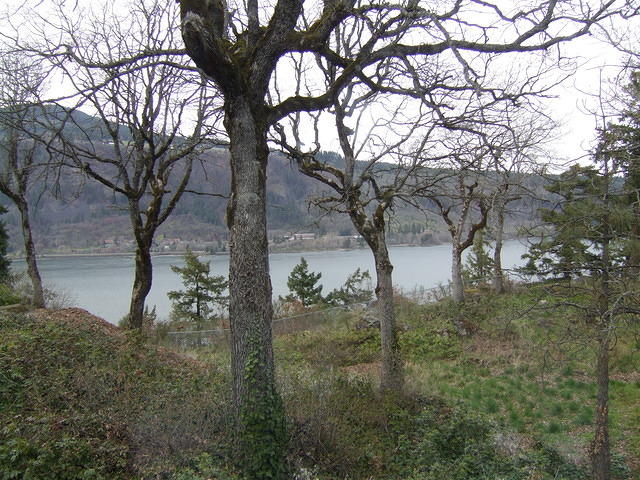 Our motel is on the columbia River. Great view out the window!