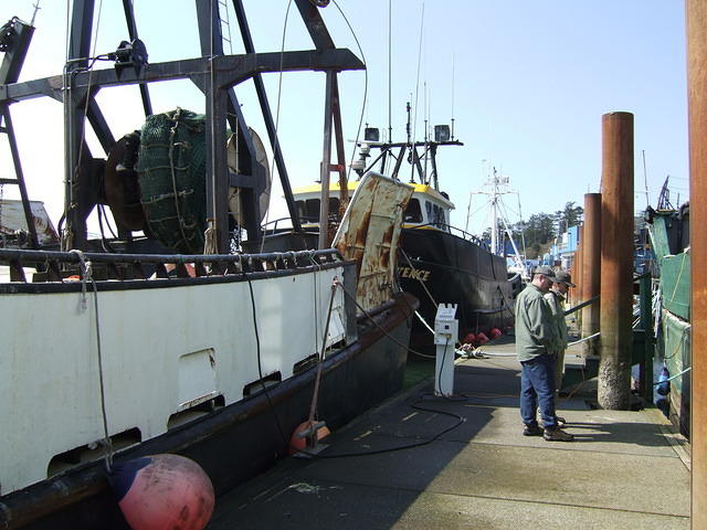 Jeff and Curtis are discussing the ins and outs of fishing on the ocean with some of these boats. They bought some dugeonous cra
