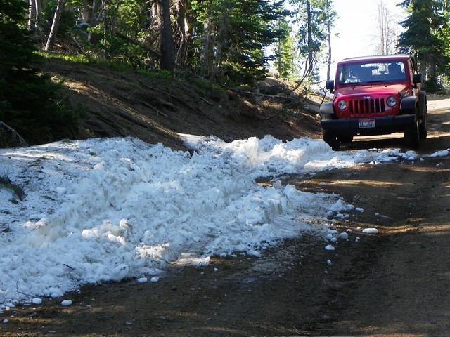 Dave's jeep just drove around it. wise!