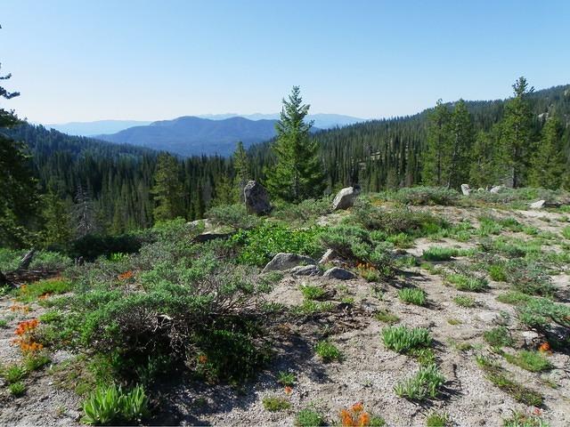 Wilson Peak's (?) views aare beautiful too. The Sawtooths are in the distance.