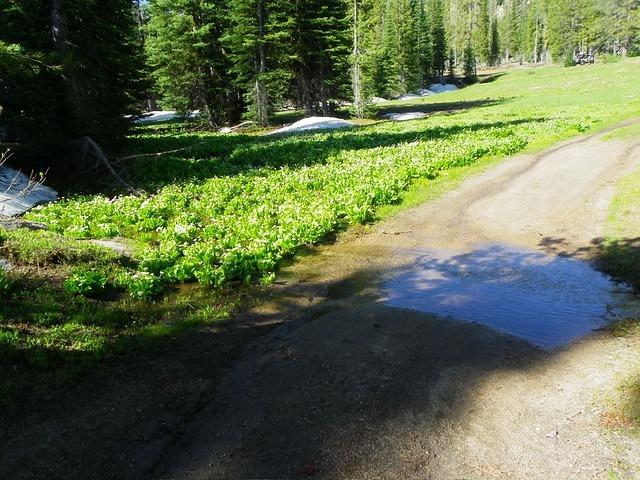 A sign of spring? The snow is melting!