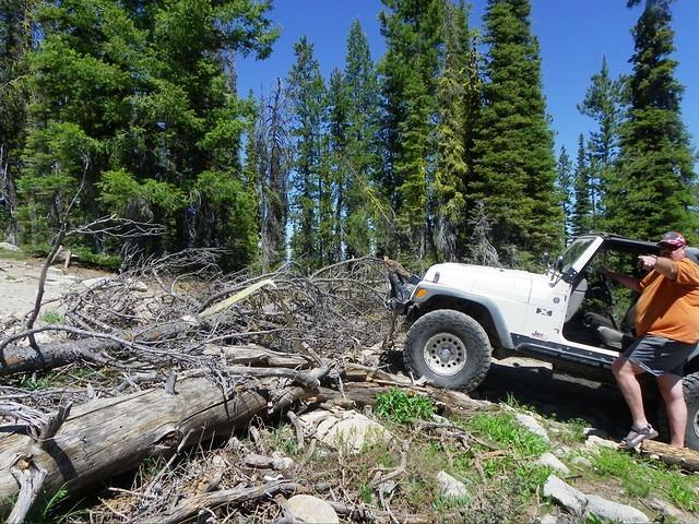 This tree is long dead; it should be light enough to pull easily.