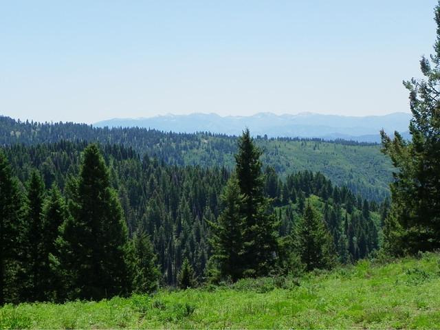 The views never stop!