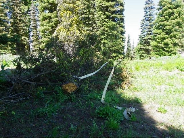 The tow strap is getting a workout today. 