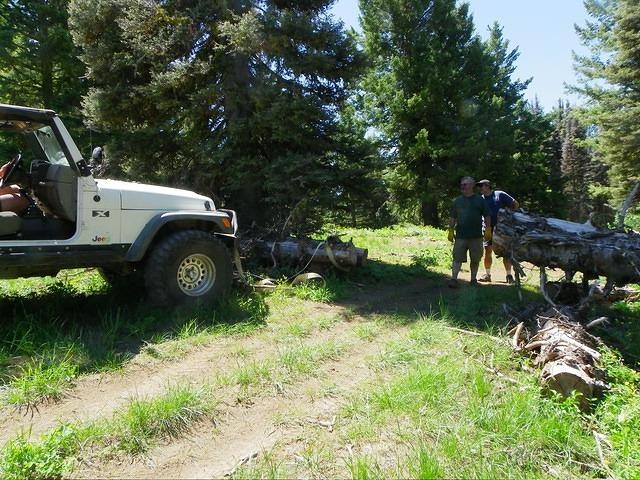This tree had already been cut, but for an atv. It was too narrow for the jeeps to get through. Christian pulled it out of the w