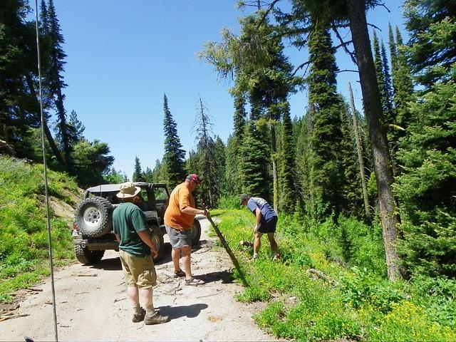 Even the forest service roads aren't safe! On the way home we found a small tree partially blocking the road. Saws were used tho