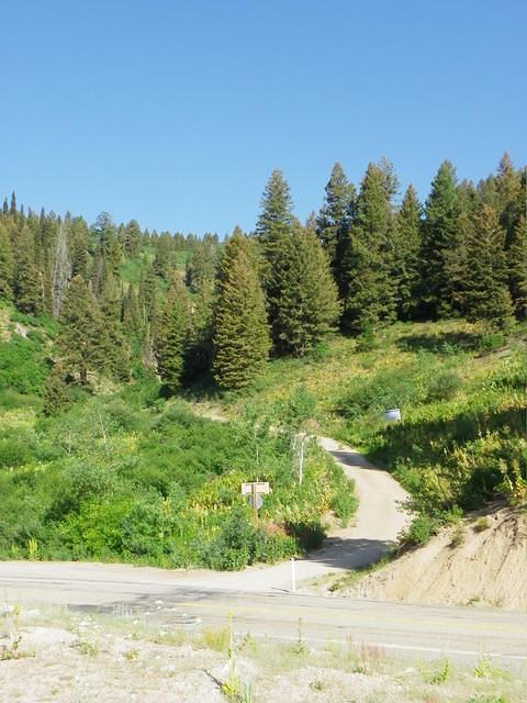 The road to the miner's grave.