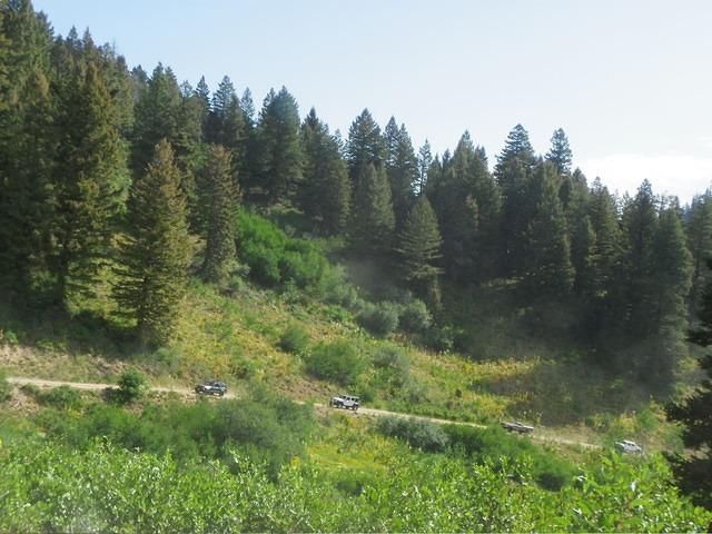 Follow the leader! At least the dust is less.