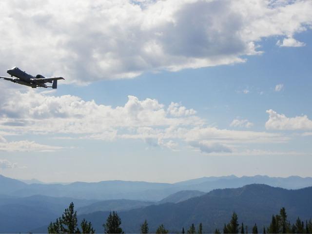 Almost too slow to get it. What a thrill! There were two more coming!