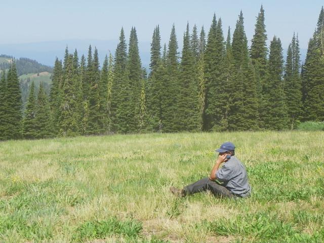 Not really the old west.... the shepard has a cell phone.