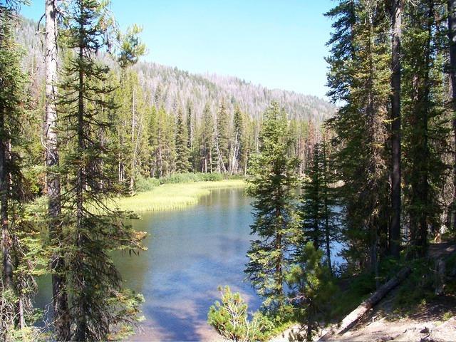 100_0872.JPG