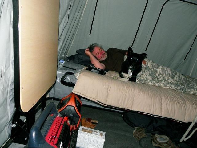 Curtis and Buster on their bed. the heater and c-pap machine power pck are near by.