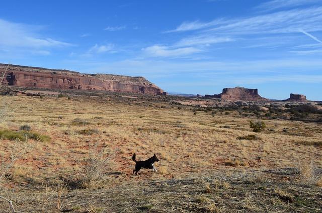 Where are the sticks