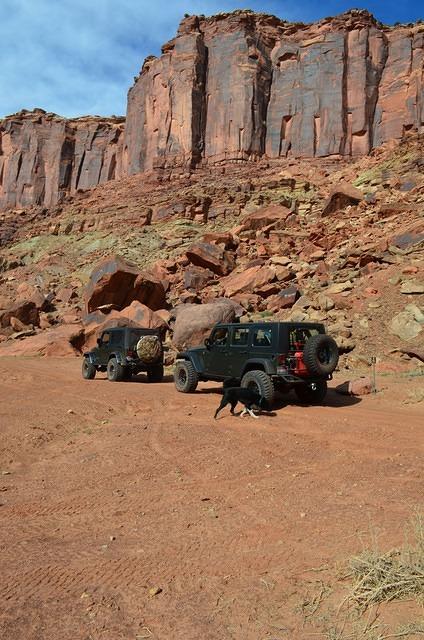 Buster likes that we stopped for a break.