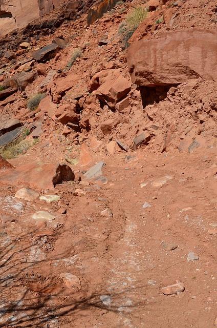 The trail runs along the river with the bluffs above.