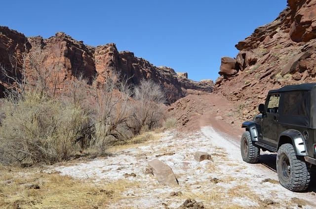 We stopped here to see what the road was like over the rise.