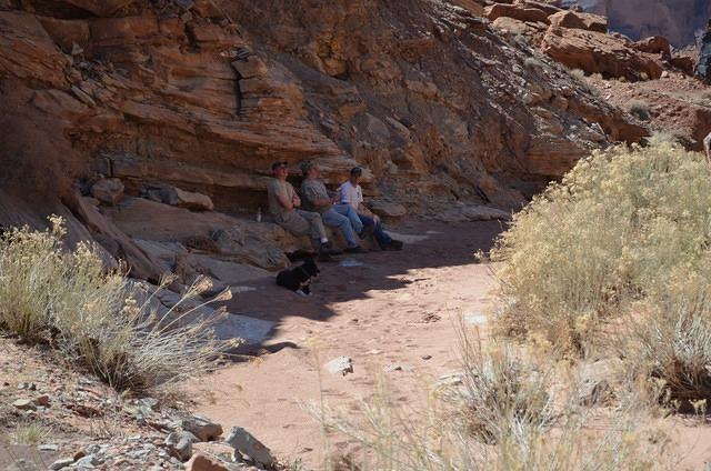 Lunch sitting on a handy shelf