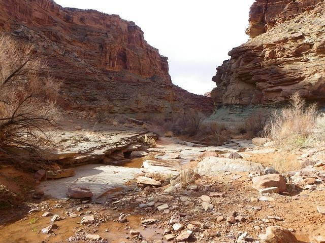 The creek at the bottom of Spring Bottom Canyon