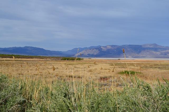 DSC_0040.JPG