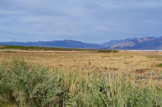 DSC_0041.JPG