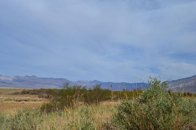 DSC_0043.JPG