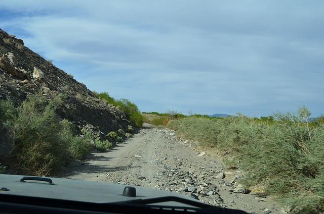 DSC_0044.JPG