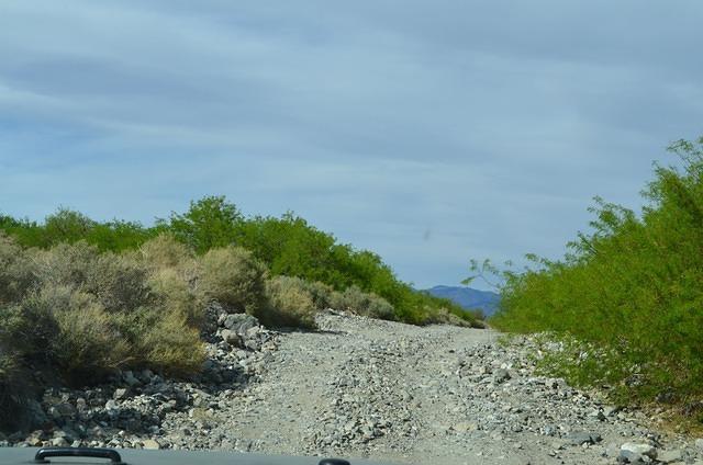 DSC_0045.JPG