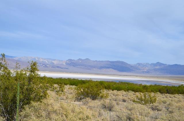 DSC_0047.JPG