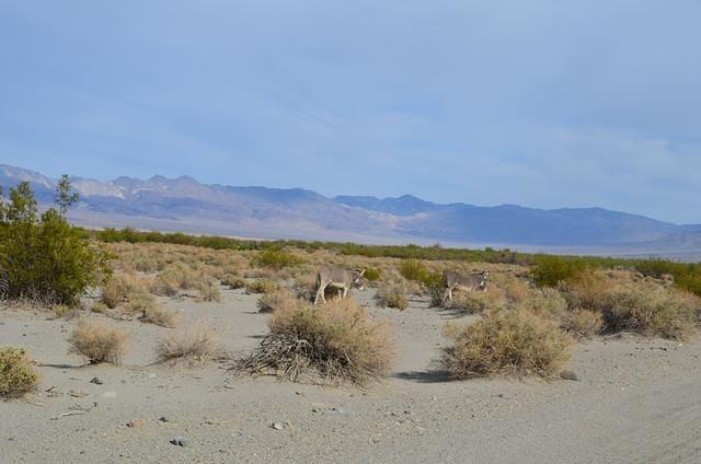 DSC_0053.JPG