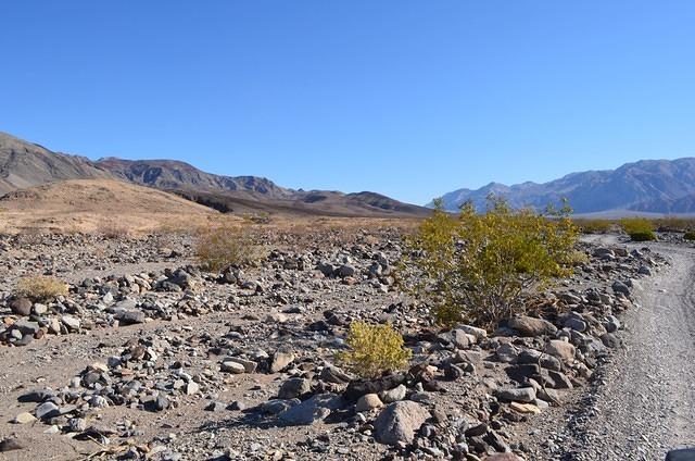 DSC_0098.JPG
