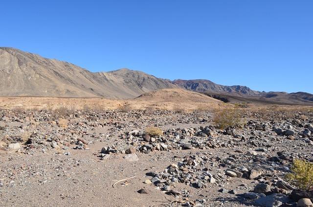 DSC_0099.JPG