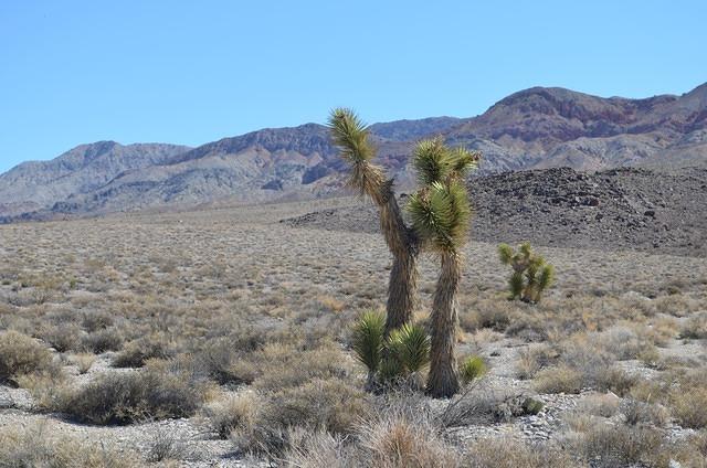 DSC_0105.JPG