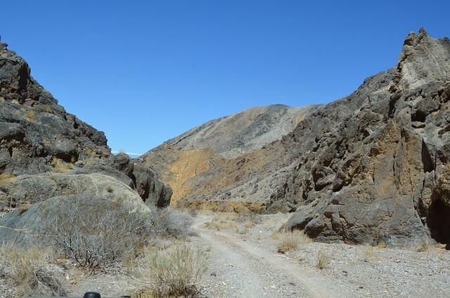 DSC_0117.JPG