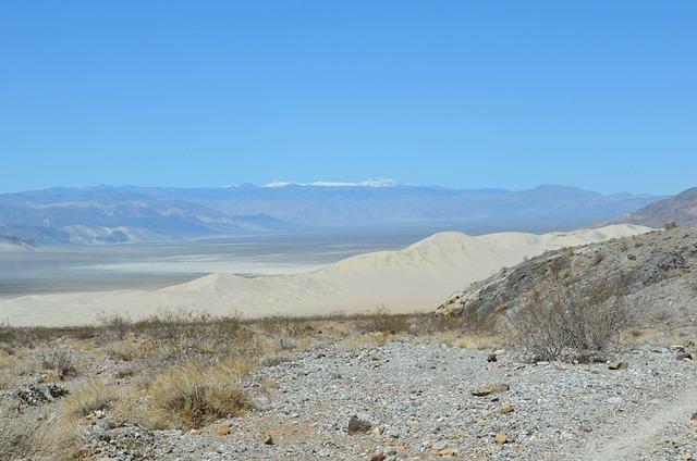 DSC_0138.JPG