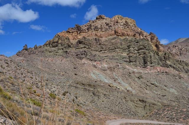 DSC_0631.JPG