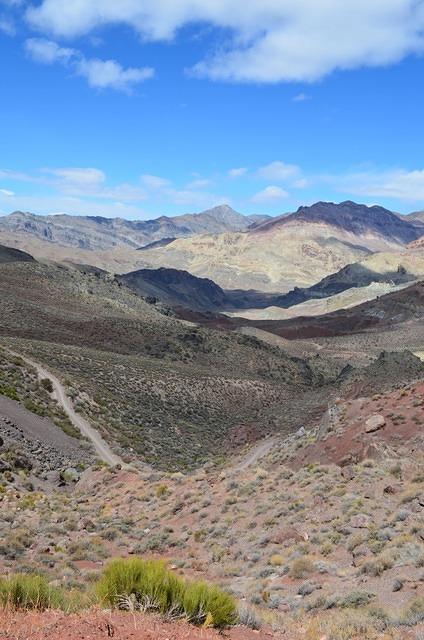 DSC_0637.jpg