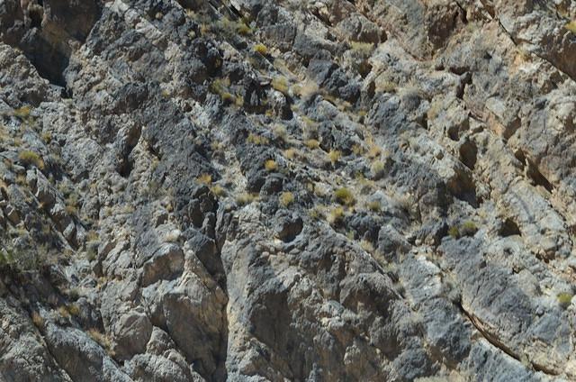 DSC_0650.JPG