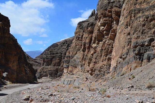 DSC_0675.JPG